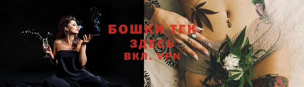 гидра Кодинск