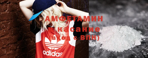 гидра Кодинск