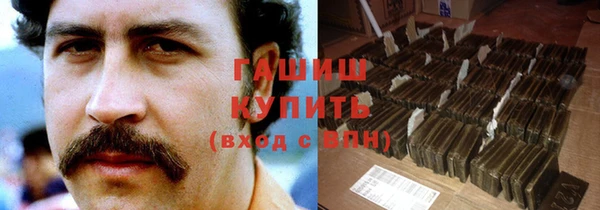 гидра Кодинск