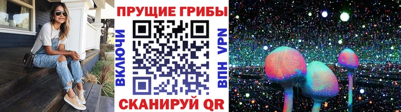 Купить  Черкесск  Галлюциногенные грибы Magic Shrooms 