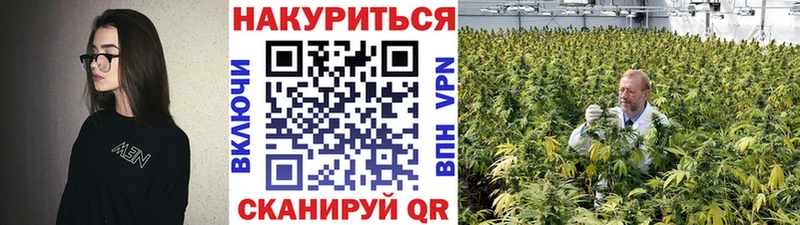 Каннабис SATIVA & INDICA Купить закладки Черкесск